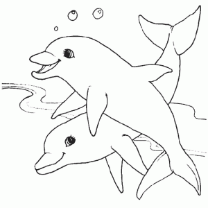 dos delfines para pintar