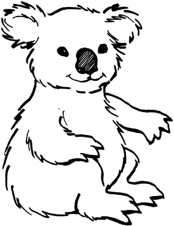 un lindo koala para pintar