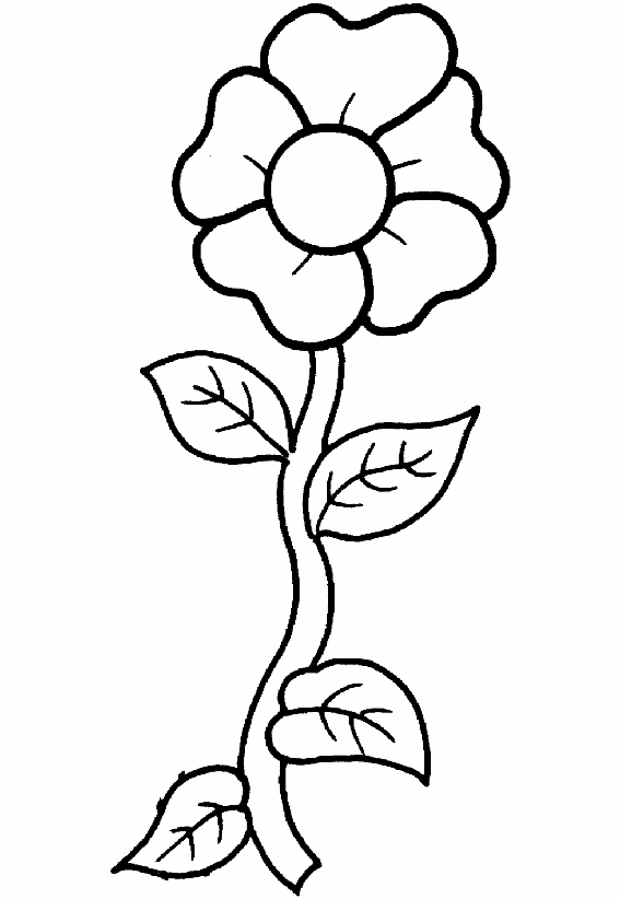 flor con tallo largo