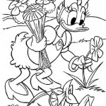 Donald y Daisy (5)