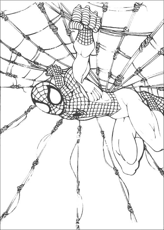 spiderman en una tela de araña